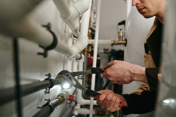 Best Commercial Plumbing Services  in Romeovle, IL