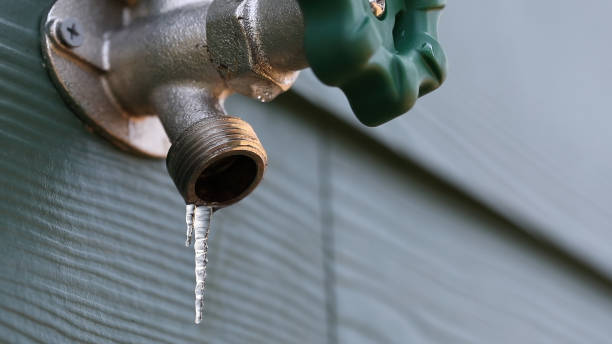 Best Shower Repair Services  in Romeovle, IL